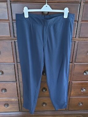 Athleta Brooklyn Ankle Pants Blue Size 18